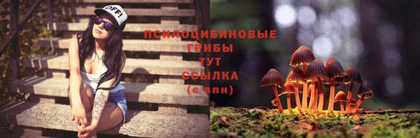 спиды Майский
