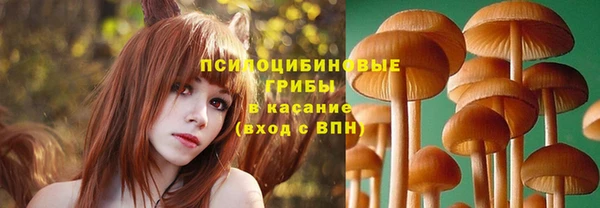 молекула духа Лиски