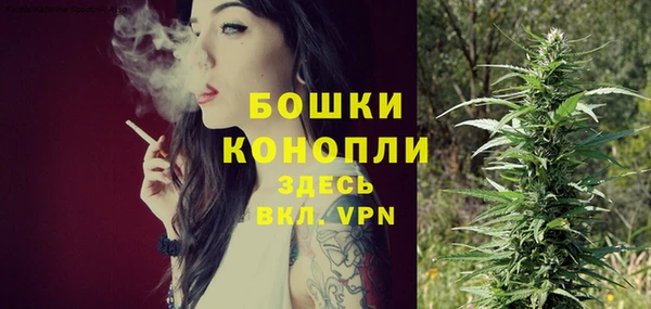 винт Магас