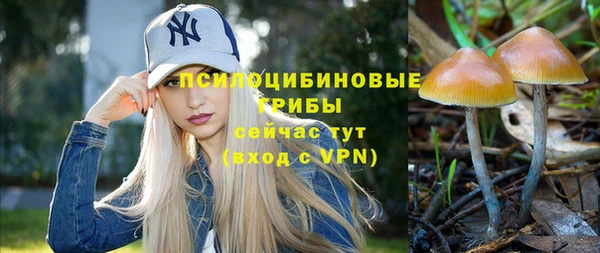 спиды Майский