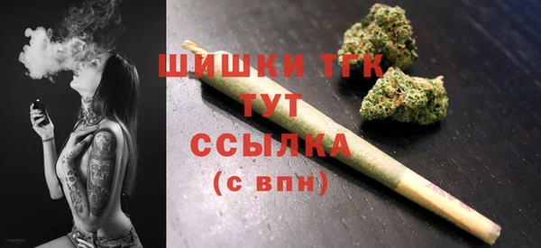 винт Магас