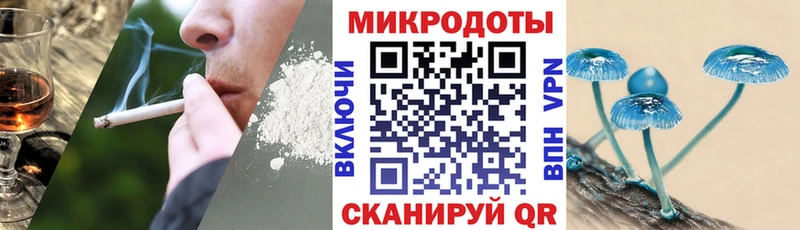 mega вход  даркнет сайт  Южно-Сахалинск  Галлюциногенные грибы MAGIC MUSHROOMS 