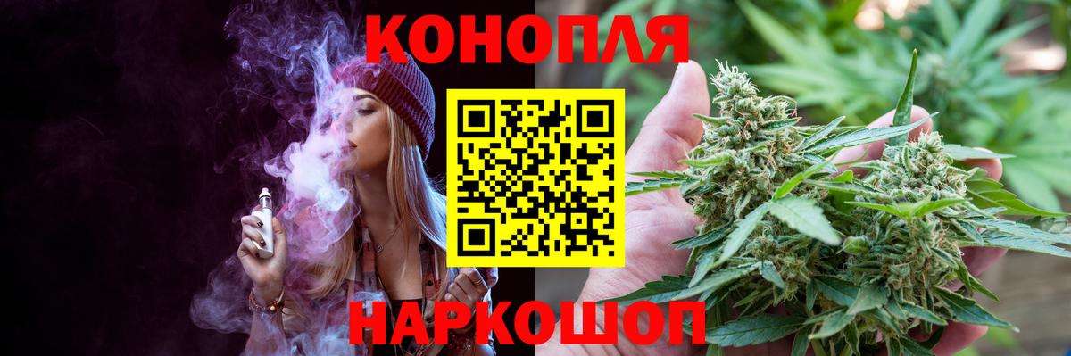 Конопля сатива Южно-Сахалинск